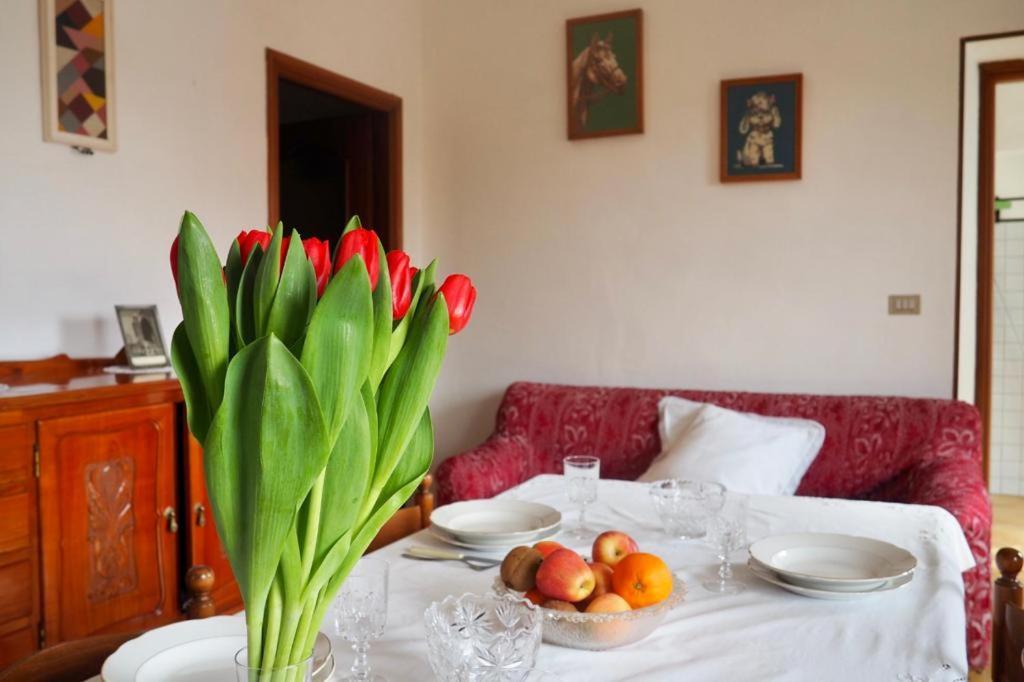 Casa Volpe Apartment Magliano Alfieri Bagian luar foto